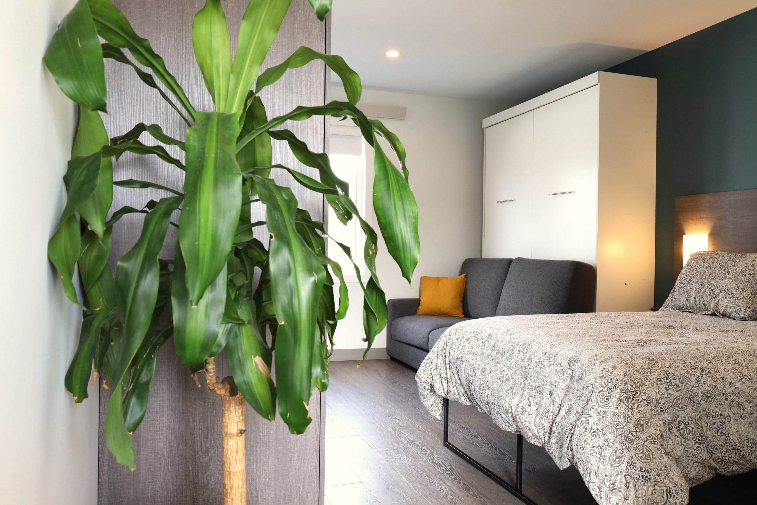 Chambre 1 – citq : 065774