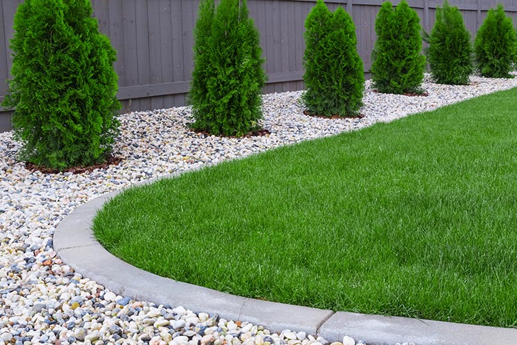 Rocky Paths